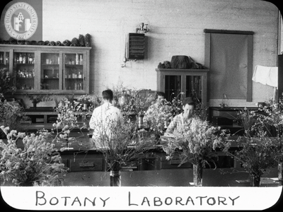 Botany laboratory, 1935