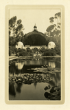Lily pond and botanical garden, Balboa Park