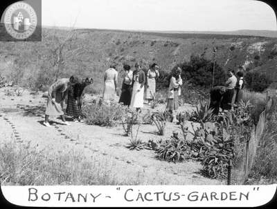 Botany - Cactus Garden, 1935