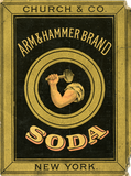 Church & Co. Arm & Hammer Brand Soda