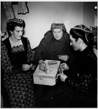 Three Actors in Twelfth Night, 1949